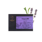 Lavender Everyday Soap Bar