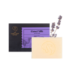 Lavender Everyday Soap Bar