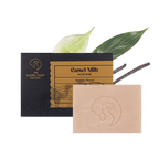 Vanilla Wood Everyday Soap Bar