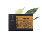 Vanilla Wood Everyday Soap Bar